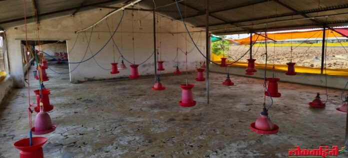 पोल्ट्री फार्म