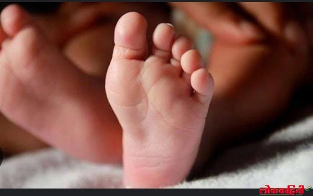 WhatsApp Image 2024-06-29 at 1.40.56 PM