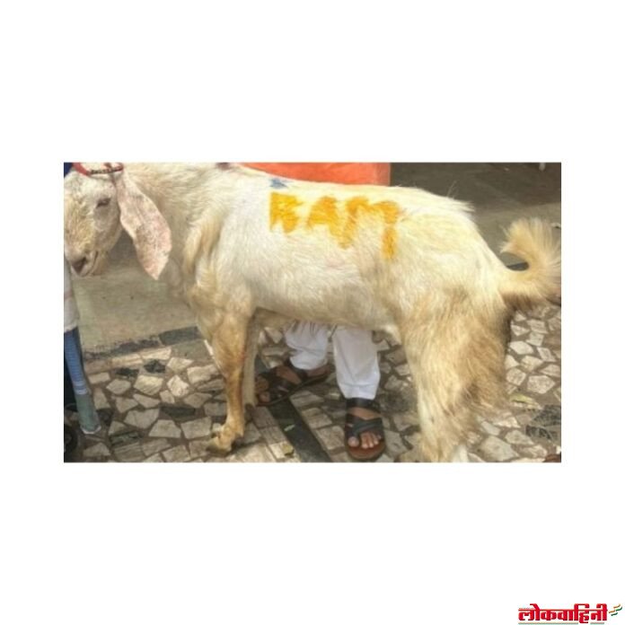 img_20240617_134940_922