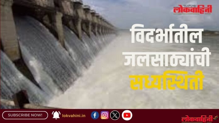 विदर्भातील जलसाठ्यांची सध्यस्थिती Water Stalk : विदर्भातील जल साठ्यांची स्थिती