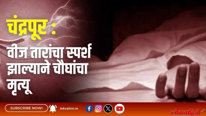 चंद्रपूर वीज तारांचा स्पर्श झाल्याने चौघांचा मृत्यू
