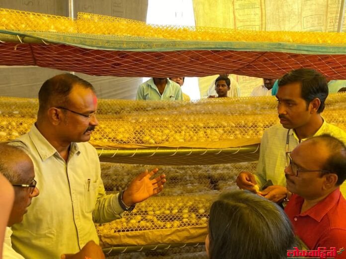 रेशमाच्या धाग्यांनी….! शेतकऱ्यांचे उजळते भाग्य…!!