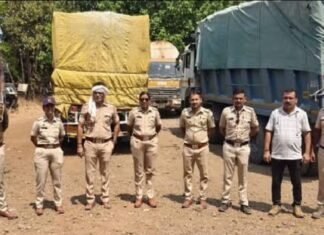 अमरावती आरटीओत दलालांशिवाय वाहनांचे पासिंग नाही? अमरावती आरटीओत दलालांशिवाय वाहनांचे पासिंग नाही?