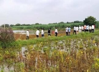 सोलापूर जिल्ह्याला प्रथमच मिळाली नुकसानभरपाईची २७९ कोटी रक्कम सोलापूर जिल्ह्याला प्रथमच मिळाली नुकसानभरपाईची २७९ कोटी रक्कम