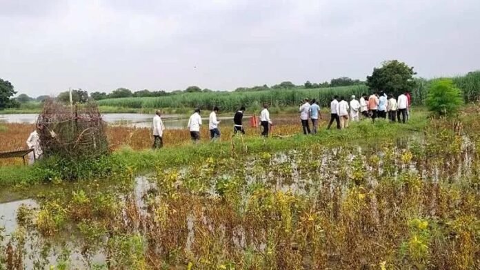 सोलापूर जिल्ह्याला प्रथमच मिळाली नुकसानभरपाईची २७९ कोटी रक्कम सोलापूर जिल्ह्याला प्रथमच मिळाली नुकसानभरपाईची २७९ कोटी रक्कम