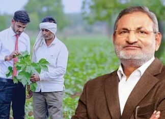 यावर्षीपासून जुनी पीक विमा योजना लागू, शेतकऱ्यांना किती भरावा लागणार प्रीमियम ? यावर्षीपासून जुनी पीक विमा योजना लागू, शेतकऱ्यांना किती भरावा लागणार प्रीमियम ?