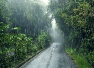 मान्सूनने महाराष्ट्र व्यापला, पुढील 5 दिवस धो धो पाऊस मान्सूनने महाराष्ट्र व्यापला, पुढील 5 दिवस धो धो पाऊस