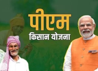 शेतकऱ्यांना पीएम किसानच्या 20 व्या हप्त्याची प्रतीक्षा, 2000 रुपये कधी खात्यात येणार? शेतकऱ्यांना पीएम किसानच्या 20 व्या हप्त्याची प्रतीक्षा, 2000 रुपये कधी खात्यात येणार?