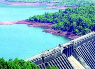 कोयना धरणात २२ टक्के समाधानकारक जलसाठा, कोयना शिवसागराच्या जलवर्षास प्रारंभ कोयना धरणात २२ टक्के समाधानकारक जलसाठा, कोयना शिवसागराच्या जलवर्षास प्रारंभ