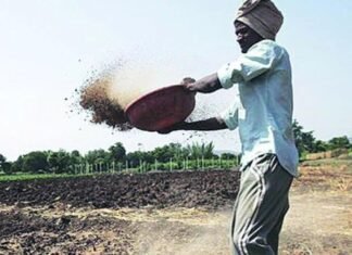 पेरण्यांची घाई नको, 15 जून नंतरच मोसमी पाऊस पेरण्यांची घाई नको, 15 जून नंतरच मोसमी पाऊस