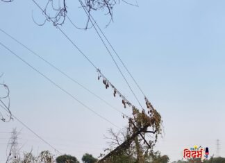 वरोरा–माढळी रोडवर विद्युत खांब झोपलेल्या अवस्थेत; जीवितास धोका, प्रशासनाला तातडीने जागे करण्याची मागणी