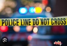 рд╕реНрд╡рддрдВрддреНрд░ рд╡рд┐рджрд░реНрдн рдиреНрдпреВрдЬ рдкреЛрд░реНрдЯрд▓, рд╡рд░реЛрд░рд╛ тАУ рдХреНрд░рд╛рдИрдо рд╕реНрдкреЗрд╢рд▓ рд╡рд░реЛрд▒реНрдпрд╛рдд рднрд░рджрд┐рд╡рд╕рд╛ рд░рдХреНрддрд░рдВрдЬрд┐рдд рдерд░рд╛рд░ : рдмрд┐рдЕрд░рдЪреНрдпрд╛ рдмрд╛рдЯрд▓реНрдпрд╛ рдлреЛрдбреВрди, рдХрдЯрд░-рд▓рд╛рдареНрдпрд╛рдВрдиреА рджреЛрди рдпреБрд╡рдХрд╛рдВрд╡рд░ рдЬреАрд╡рдШреЗрдгрд╛ рд╣рд▓реНрд▓рд╛