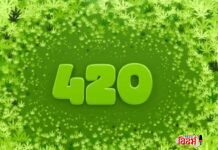 рейренрезрен рдХреЛрдЯреАрдВрдЪрд╛ рдЖрд░реНрдерд┐рдХ рдЧреИрд░рд╡реНрдпрд╡рд╣рд╛рд░; ‘Vuenow Marketing’ рдЪреНрдпрд╛ рд╕рдВрдЪрд╛рд▓рдХрд╛рд▓рд╛ рдЕрдЯрдХ, рдЪрдВрджреНрд░рдкреВрд░ рдкреЛрд▓рд┐рд╕рд╛рдВрдЪреЗ рдЧреБрдВрддрд╡рдгреВрдХрджрд╛рд░рд╛рдВрдирд╛ рдЖрд╡рд╛рд╣рди