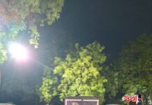 वरोरा पोलिसांची मोठी कारवाई; १० जनावरांसह अशोक लेलँड जप्त, बजरंग दलाच्या सतर्कतेने गोवंश तस्करीचा प्रयत्न उधळला