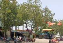 माजी सैनिक सचिन धात्रक यांच्या मागणीला अवघ्या २४ तासांत यश; जगनाडे महाराज चौकातील रस्त्याच्या कामाला युद्धपातळीवर सुरुवात