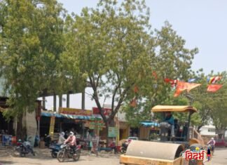 माजी सैनिक सचिन धात्रक यांच्या मागणीला अवघ्या २४ तासांत यश; जगनाडे महाराज चौकातील रस्त्याच्या कामाला युद्धपातळीवर सुरुवात