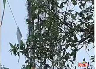 वरोरा मधे पाण्यासाठी महिलांचा एल्गार; थेट टॉवरवर चढून ‘शोले’ स्टाईल आंदोलन !