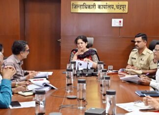 जिल्हाधिका-यांकडून पीसीपीएनडीटीच्या अंमलबजावणीचा आढावा