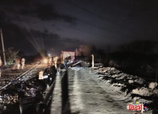 वरोरा-माढेळी मार्गावर थरार; भरधाव ट्रकची इलेक्ट्रिक पोलला धडक, मोठा अनर्थ टळला