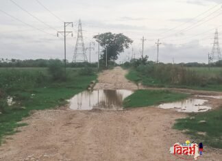 वरोरा: महावितरणच्या ३३/११ के.व्ही. उपकेंद्रासमोरील रस्ता पाण्याखाली; कर्मचाऱ्यांसह नागरिकांचा जीवघेणा प्रवास