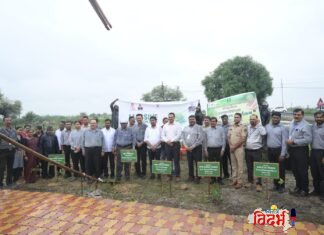 कोल इंडिया लिमिटेडचा दैदिप्यमान विक्रम: एकाच दिवसात १४ लाख रोपांची लागवड करून रचला ‘गिनीज बुक ऑफ वर्ल्ड रेकॉर्ड’!