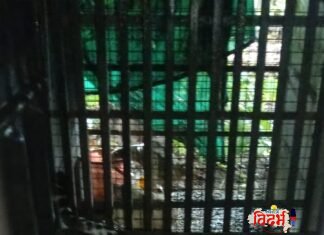 भीतीचे सावट संपले! गौतम नगरमधील दहशत संपवत नगरसेवकांच्या पाठपुराव्यामुळे आखीर बिबट्या जेरबंद
