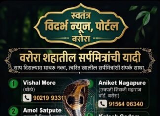 🚨 सावधान! पावसाळ्यात सापांचा वावर वाढला; घराभोवती साप आढळल्यास घाबरू नका, ‘या’ सर्पमित्रांना करा त्वरित संपर्क! 🐍