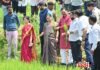 संभाव्य दुष्काळ परिस्थितीचा सामना करण्यासाठी प्रभावी उपाययोजना करा. पालकमंत्री डॉ. अशोक उईके वरोरा तालुक्यात धान व कपाशी पिकांची प्रत्यक्ष पाहणी