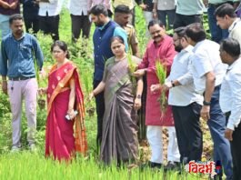 संभाव्य दुष्काळ परिस्थितीचा सामना करण्यासाठी प्रभावी उपाययोजना करा. पालकमंत्री डॉ. अशोक उईके वरोरा तालुक्यात धान व कपाशी पिकांची प्रत्यक्ष पाहणी