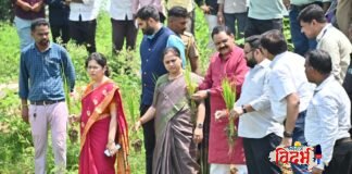 संभाव्य दुष्काळ परिस्थितीचा सामना करण्यासाठी प्रभावी उपाययोजना करा. पालकमंत्री डॉ. अशोक उईके वरोरा तालुक्यात धान व कपाशी पिकांची प्रत्यक्ष पाहणी