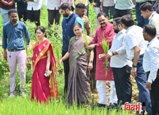संभाव्य दुष्काळ परिस्थितीचा सामना करण्यासाठी प्रभावी उपाययोजना करा. पालकमंत्री डॉ. अशोक उईके वरोरा तालुक्यात धान व कपाशी पिकांची प्रत्यक्ष पाहणी