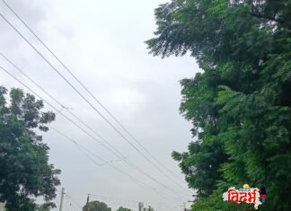 चंद्रपूर ते पारडी गोकुळाष्टमी निमित्त भव्य पायदळ दर्शन वारी उत्साहात संपन्न
