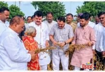 बाभुळगाव, यवतमाळ व नेर तालुक्यात शेतबांधावर मंत्र्यांची पाहणी; करपणाऱ्या पिकांमुळे शेतकऱ्यांमध्ये संताप व चिंतेचे वातावरण