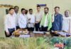 भद्रवती तालुक्यातील सावरीजवळ वाघाचा धुमाकूळ; शेतकऱ्याचा बैल फस्त केल्याने ग्रामस्थांमध्ये भीतीचे वातावरण