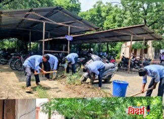 आनंद निकेतन महाविद्यालयात NSS विद्यार्थ्यांचे स्वच्छता अभियान; श्रमदानातून दिला स्वच्छतेचा संदेश!
